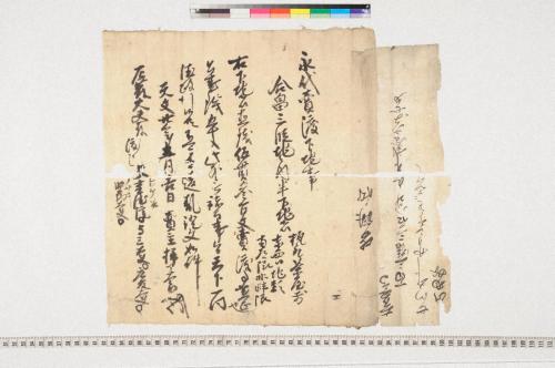 紀州本川中島合戦図屏風
