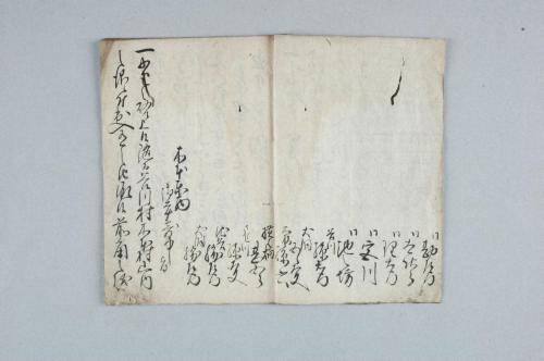 紀州泉州野山立合山之儀ニ付先年度々山論有之候節之書状并窺書付之留帳