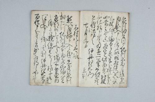 紀州泉州野山立合山之儀ニ付先年度々山論有之候節之書状并窺書付之留帳