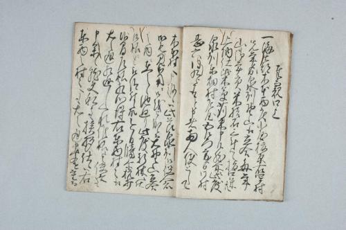 紀州泉州野山立合山之儀ニ付先年度々山論有之候節之書状并窺書付之留帳