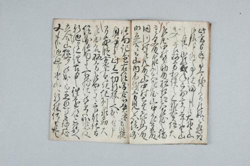 紀州泉州野山立合山之儀ニ付先年度々山論有之候節之書状并窺書付之留帳