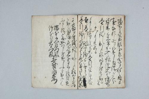 紀州泉州野山立合山之儀ニ付先年度々山論有之候節之書状并窺書付之留帳