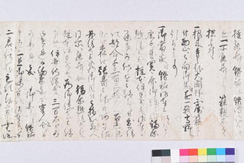 根来左衛門佐由緒書