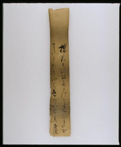 俳画･和歌短冊*