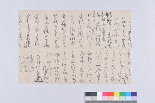 徳川頼宣書状