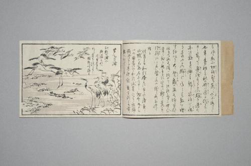 紀伊国和歌浦図