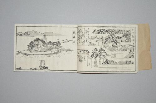 紀伊国和歌浦図