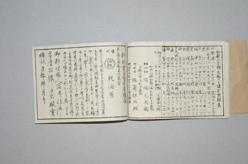 紀伊国和歌浦図