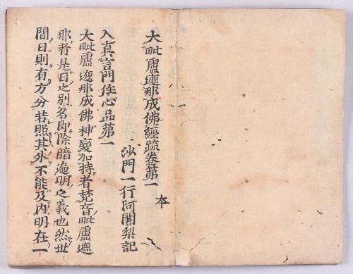 大毘盧遮那成佛経疏(高野版)