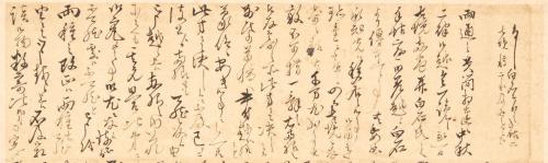 唐金梅所宛書状