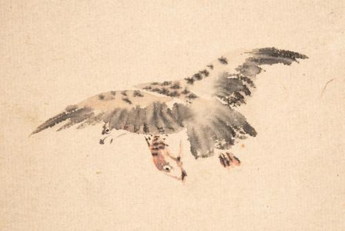 俳画「雲之鳥」