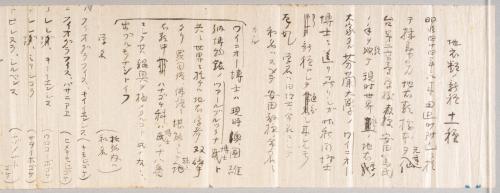 覚書「地衣類之新種十一種」