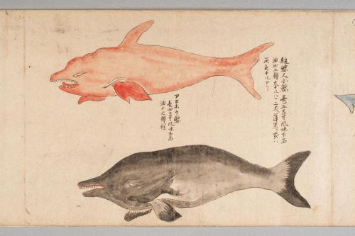 鯨絵巻