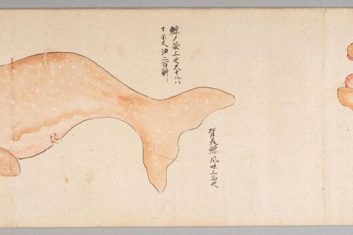 鯨絵巻
