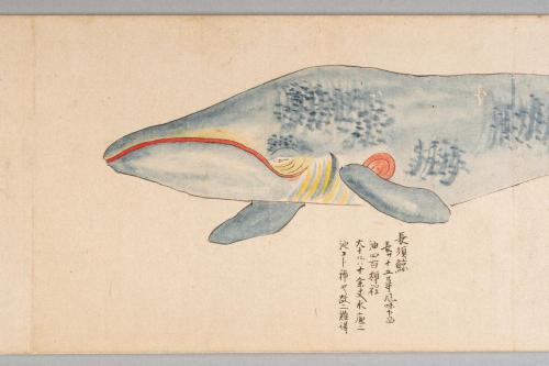 鯨絵巻