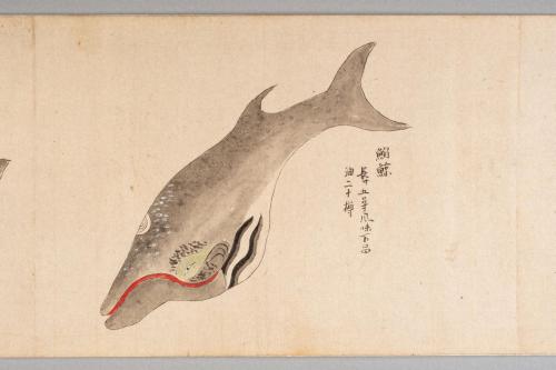 鯨絵巻