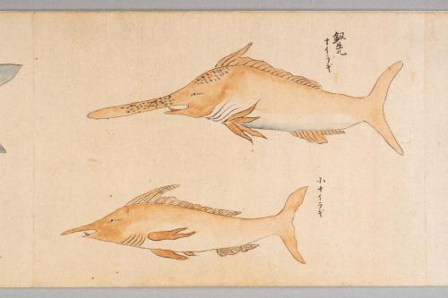 鯨絵巻