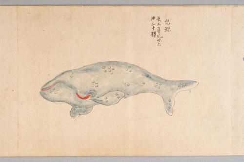 鯨絵巻