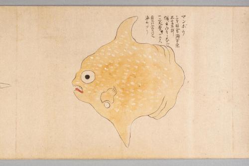 鯨絵巻