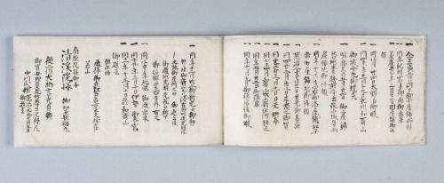 御家御系譜(紀州徳川家系譜)