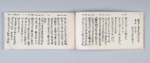 御家御系譜(紀州徳川家系譜)