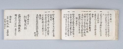 御家御系譜(紀州徳川家系譜)