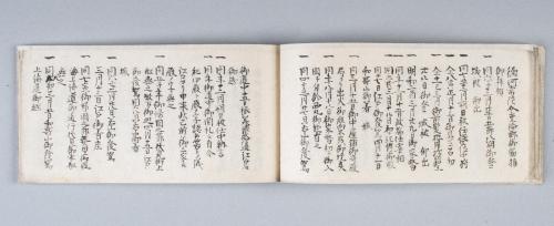 御家御系譜(紀州徳川家系譜)