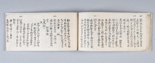 御家御系譜(紀州徳川家系譜)