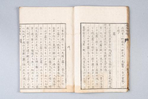 南海詩訣