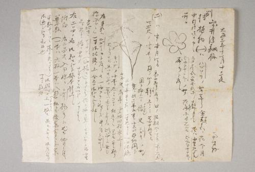 南方熊楠書簡　宇井縫蔵宛
