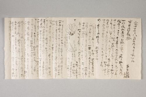 南方熊楠書簡　宇井縫蔵宛