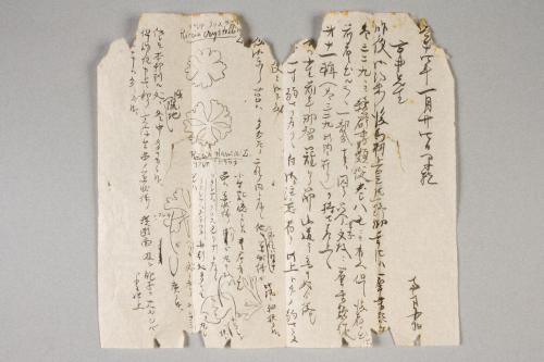 南方熊楠書簡　宇井縫蔵宛