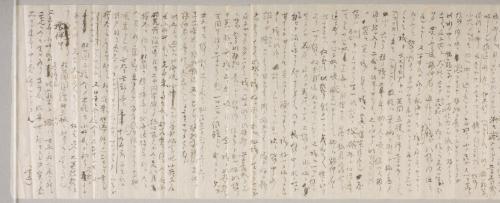 雑賀貞次郎宛書簡/南方熊楠宛書簡