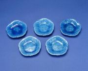 瑞芝焼　浅黄釉牡丹皿