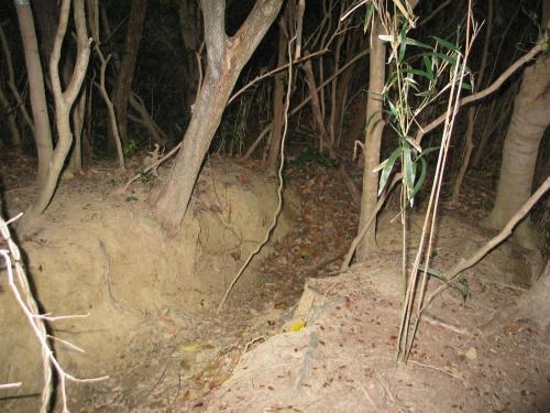 大谷山20号墳