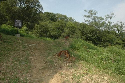 前山A100号墳　墳丘全景