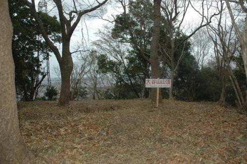 大谷山22号墳　墳丘全景