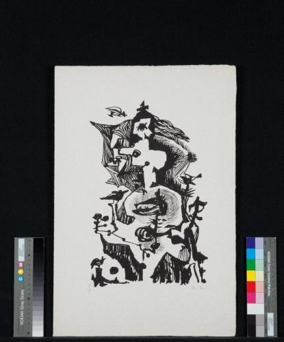 森のバレー