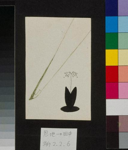 田中恭吉あて絵葉書（大正2年2月6日消印）