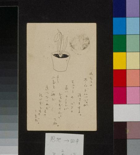 田中恭吉あて絵葉書（大正2年2月13日消印）