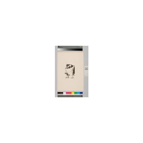 少年