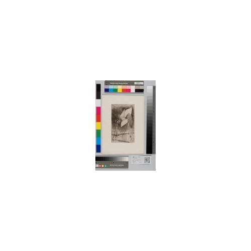 かざぐるま夜話