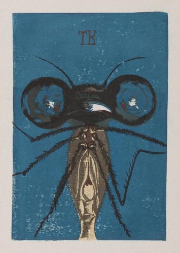 『版画集』より　トンボ