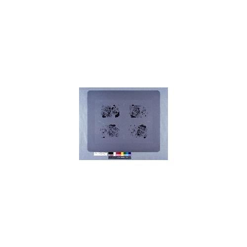 ネコ94 Ａ-Ｄ原版