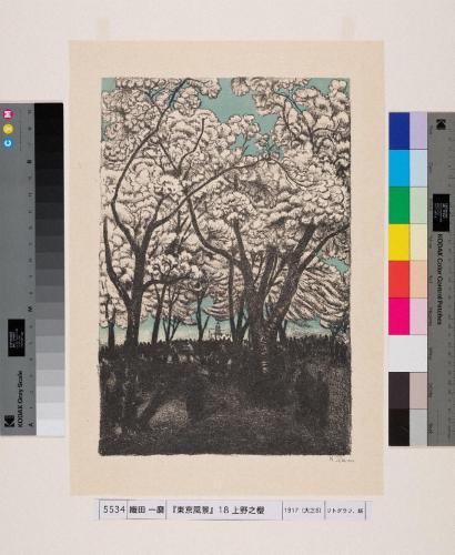 『東京風景』十八　上野之櫻