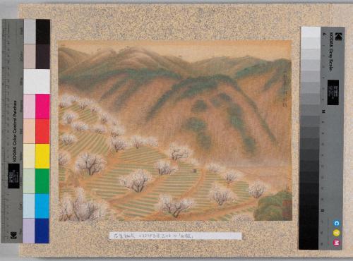 紀伊百景画帖「田鶴」