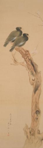 ［老梅叭々鳥図］