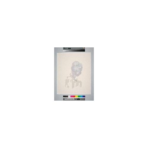 Silkscreen Drawing 1