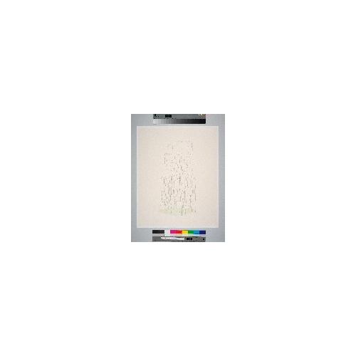 Silkscreen Drawing 1