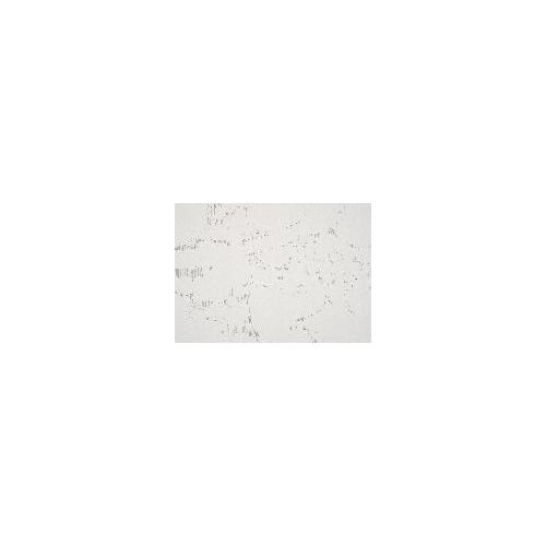 Stripe Drawing Book - 地中から木もれ日へ